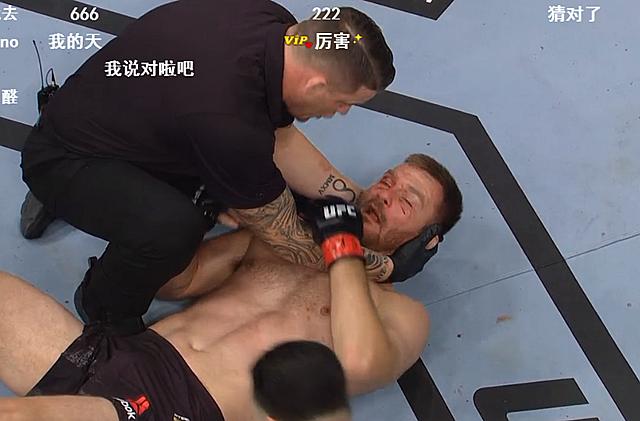 ufc最新重量级冠军小战警比赛,ufc重量级冠军打小鹰