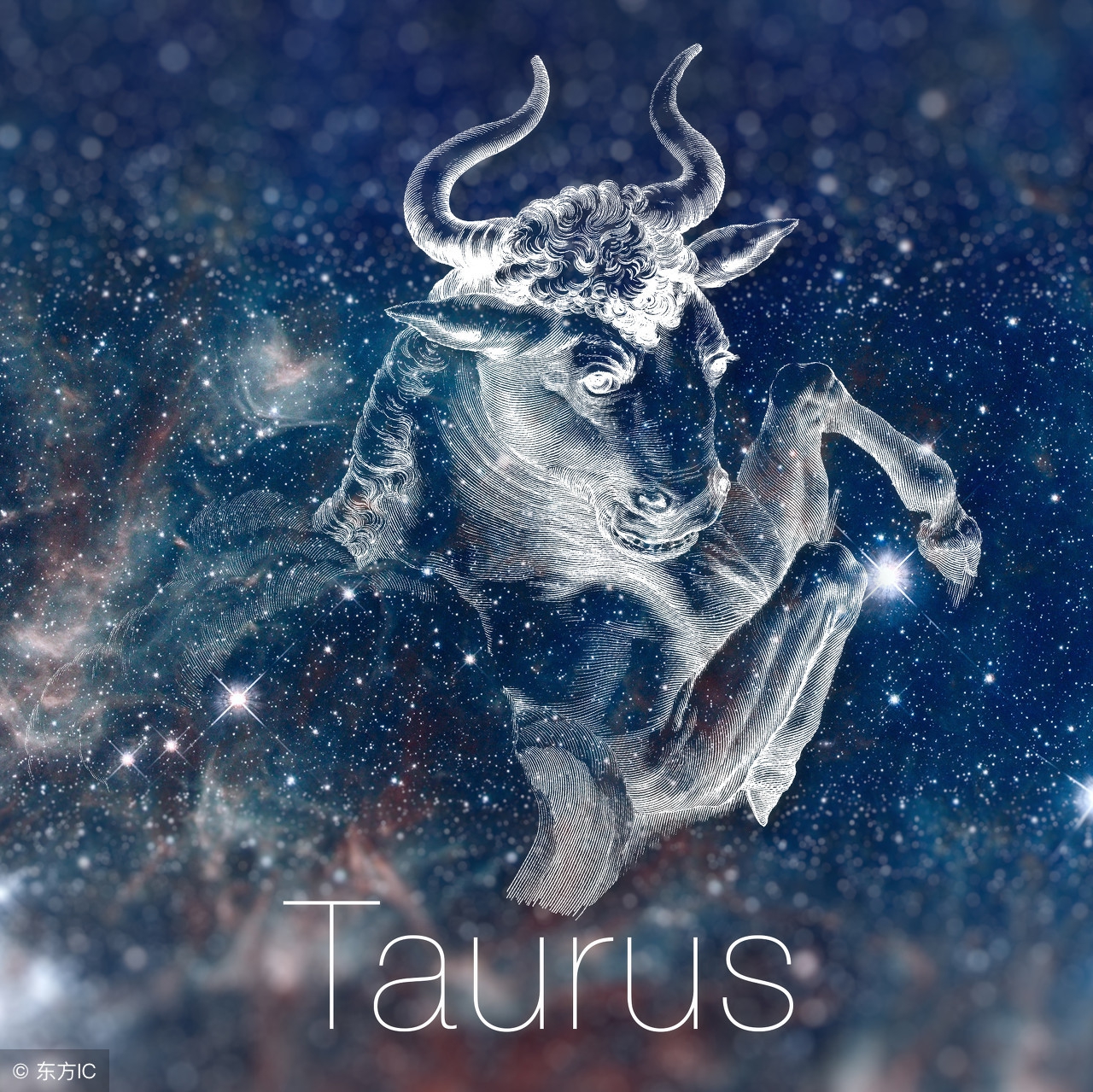 最有掌控力的星座,最有毅力坚韧不拔的星座