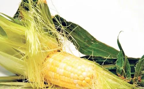 夏日怎么排毒祛湿好呢,夏季祛湿养生知识大全