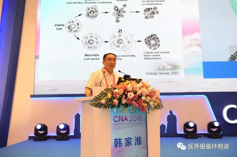 CNA2018|31年了,那个背影始终激励着陈香美院士