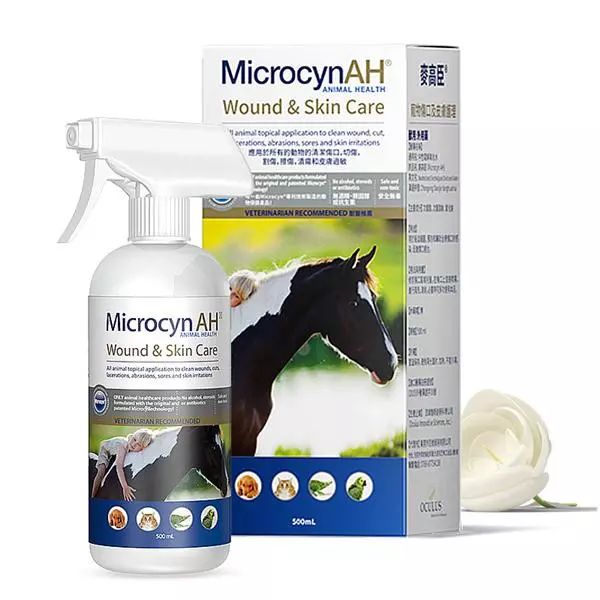 治疗猫狗皮肤病一般宠物店用什么,猫狗得了皮肤病