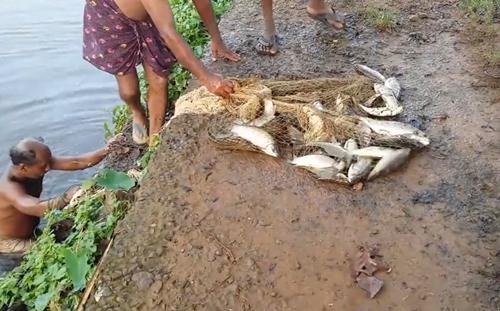 不被大伙注意的水沟，撒网下去后没动静，亲自下水收网，惊喜来了