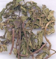 中药传奇书籍,中药传奇小说