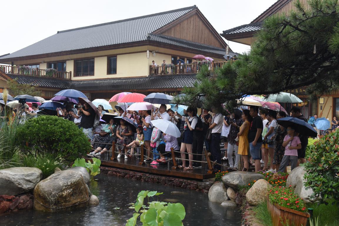 古琴雅集结束语,天青色等烟雨琴谱完整