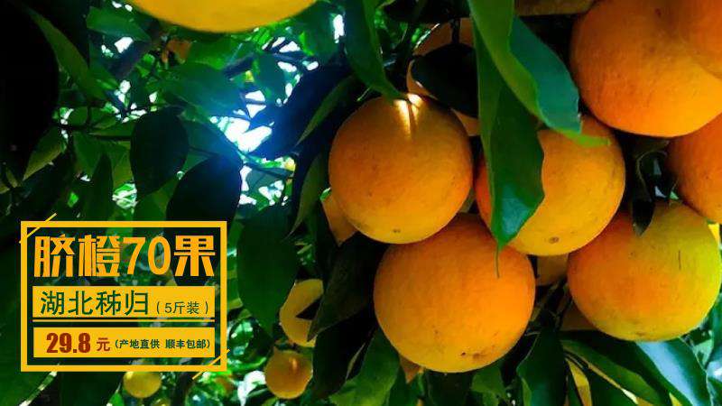 成都东站坐高铁不用取票吗,好消息动车