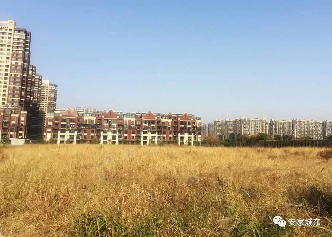 爆发！黑马中学出炉，全新小学投用，仙林迎来教育新格局