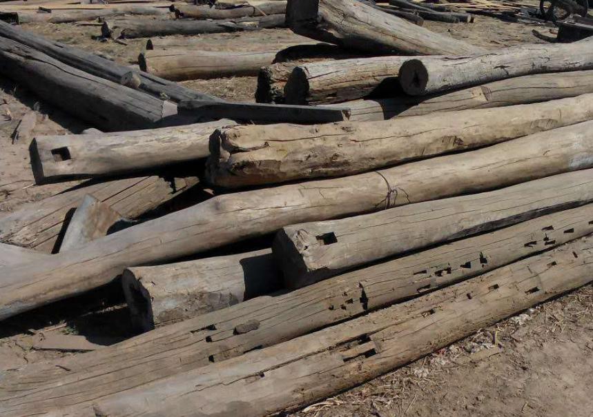 榆木分几种榆木家具优缺点,老榆木与榆木