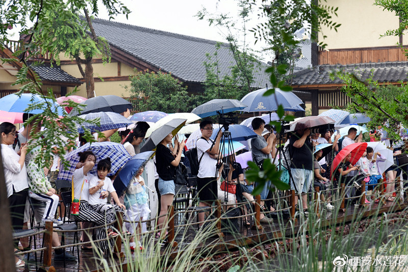 西咸新区文化大讲堂第七期,西咸文化大讲堂