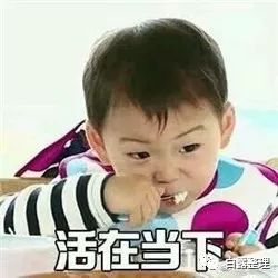 日本茶道文化深度解析,日本茶道有多美