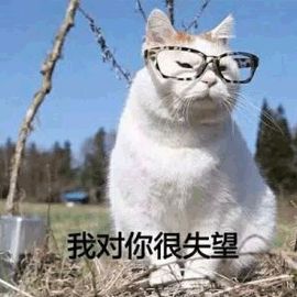 日本茶道文化深度解析,日本茶道有多美