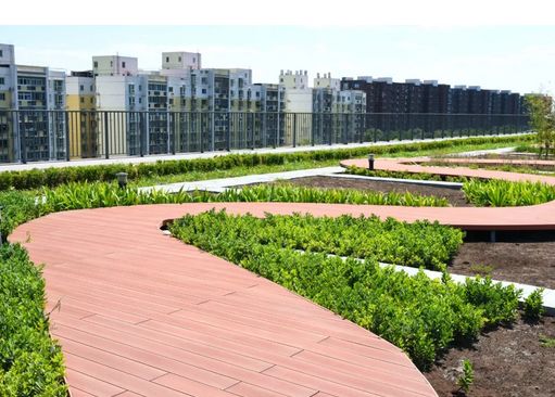 中芯学校高中部实景曝光，等你来撩！