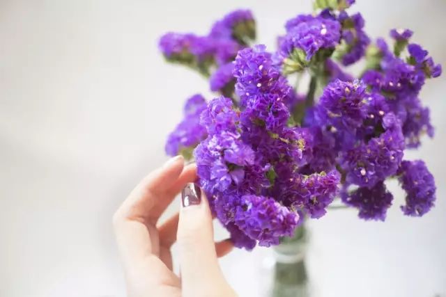 勿忘我花束制作方法超简单,自制勿忘我花束包装教程