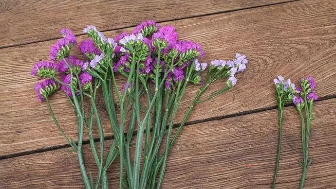 勿忘我花束制作方法超简单,自制勿忘我花束包装教程