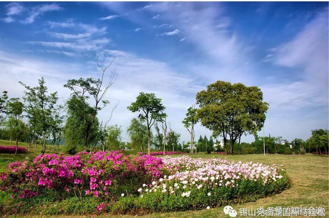 华东赛区全部赛事,华东十城市暨长三角田径邀请赛