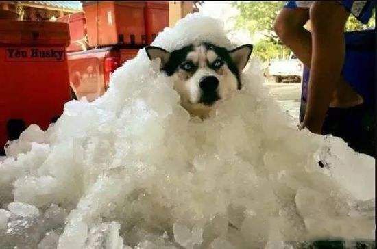 冰垫真的有降温效果吗,夏季冰凉垫降温神器