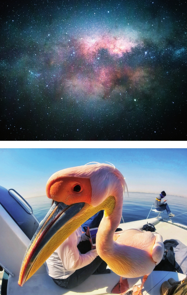 手机加单反镜头的效果,手机变单反外设镜头