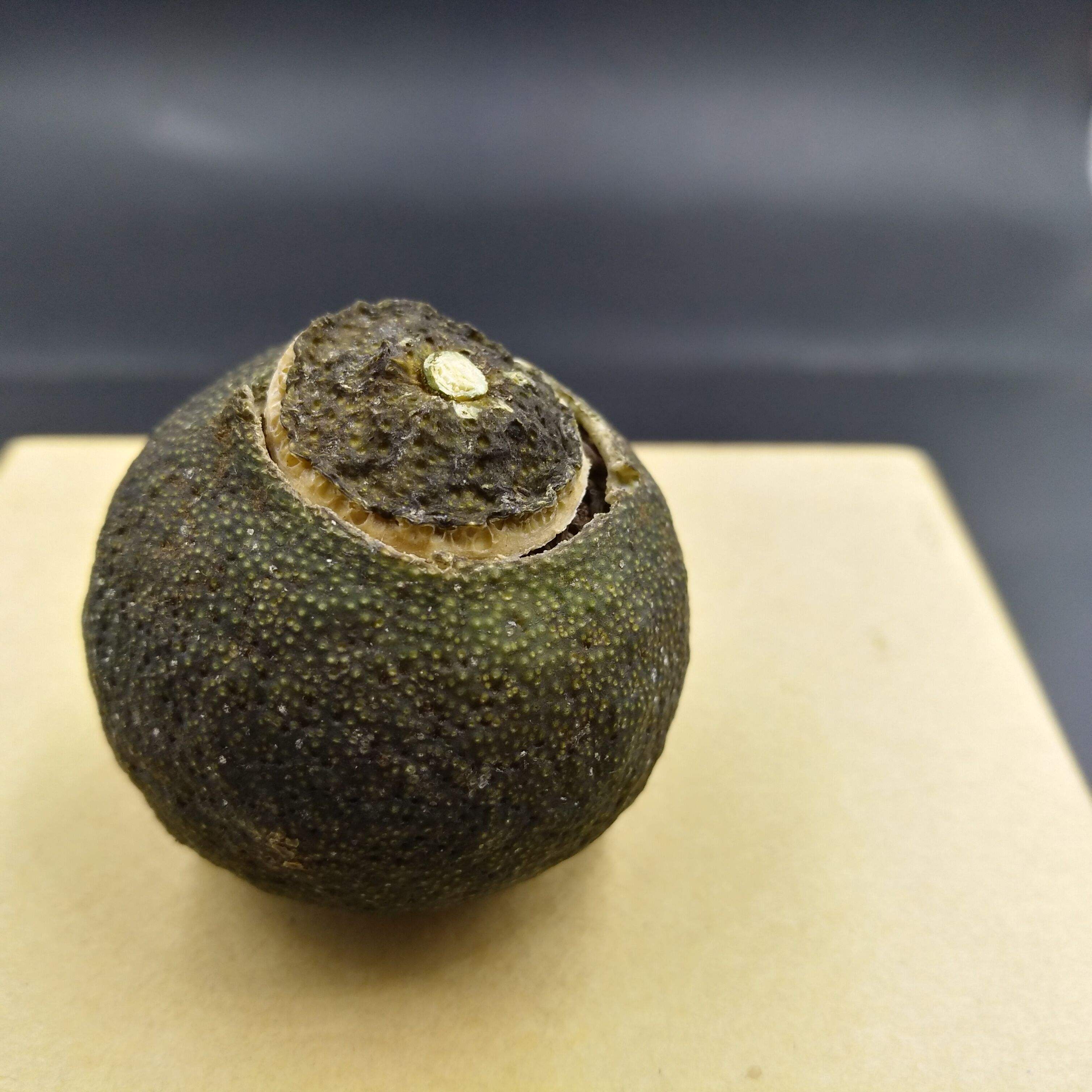 好的小青柑不能闷泡吗,小青柑整个泡还是弄碎泡