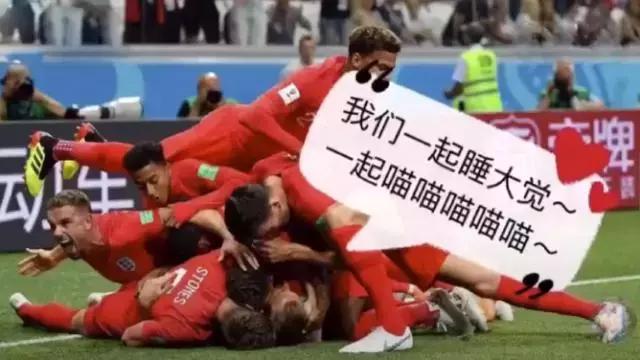 锦湖说世界杯：带你胡侃世界杯之三喵军团（爆笑图文，不容错过）