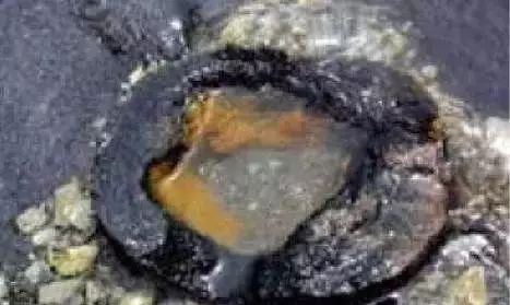 世界上发现的神秘古物,世界上最神秘的古物是什么