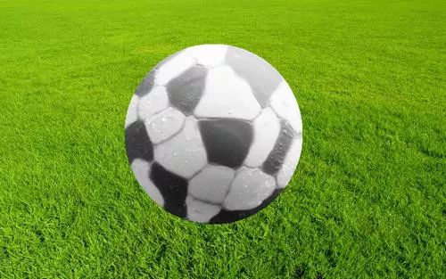 微观世界｜这样的世界杯，你见过吗？