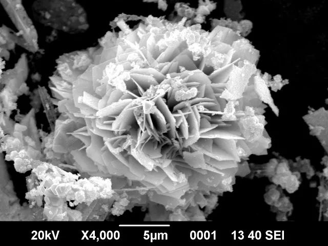 微观世界|这样的世界杯,你见过吗?