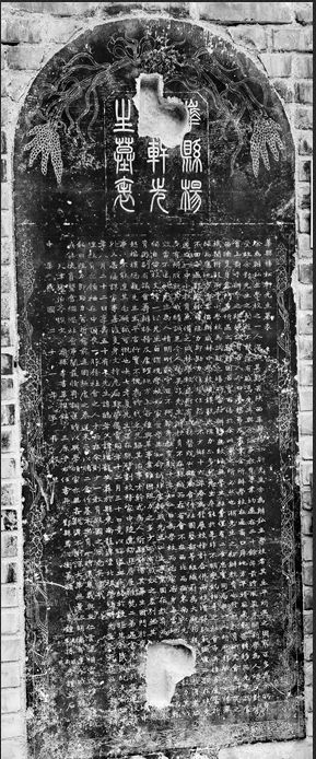 碑林怎么读,碑林的读音