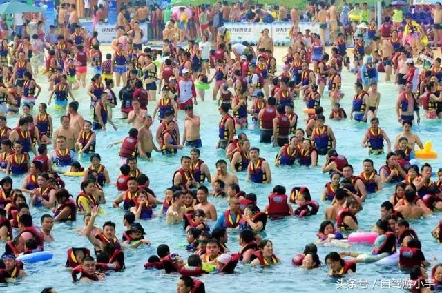 郑州银基乐海水世界,郑州银基乐海水世界客服电话