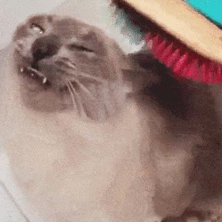 扎透心了！那些网红护肤单品风吹的很大，用完才知道是真鸡肋！