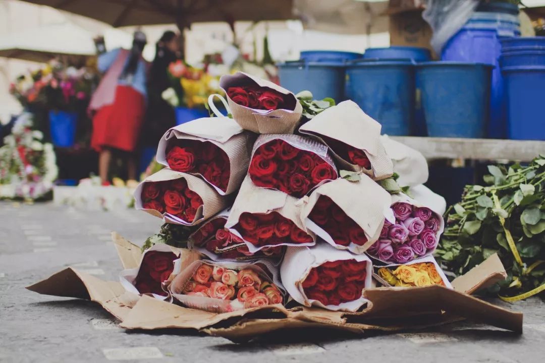 左脚北半球右脚南半球的国家,右脚在南半球左脚在北半球