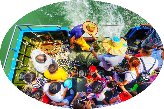 日照振杰渔家民宿,日照振杰渔家