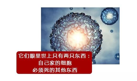 一直以为自己是跑得最快的那颗精子,原来并不是……
