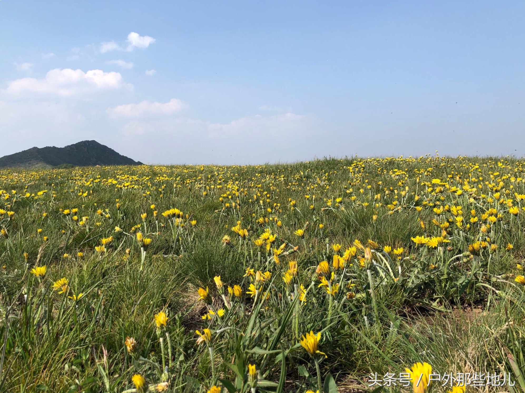 北京延庆小海坨山有什么好玩的,延庆海坨山一日游攻略