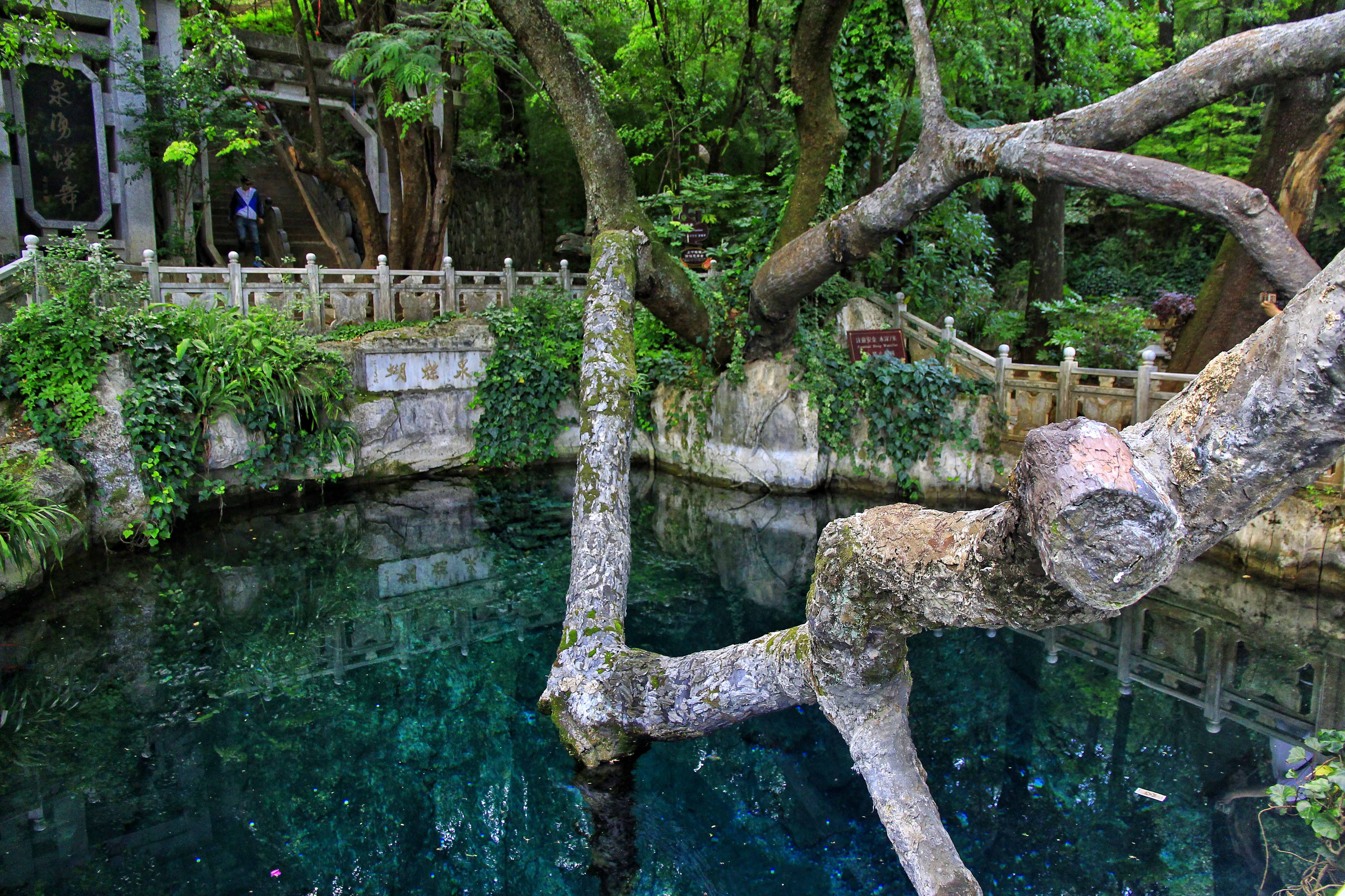 强迫症住院治疗一个月多少钱,强迫症患者要花多少钱