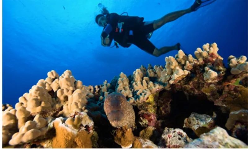 这辈子的澡都TM白洗了！