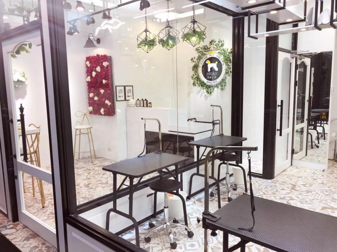 宠物店给宠物美容挣钱吗,宠物美容店一年真实利润