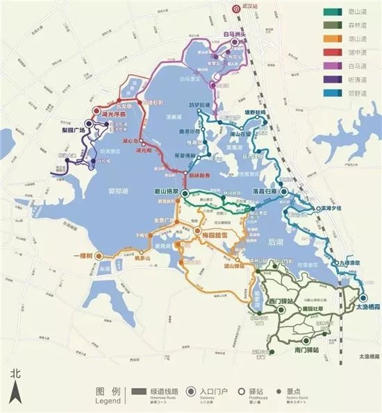 武汉夜跑推荐,武汉武昌区夜跑最佳地点