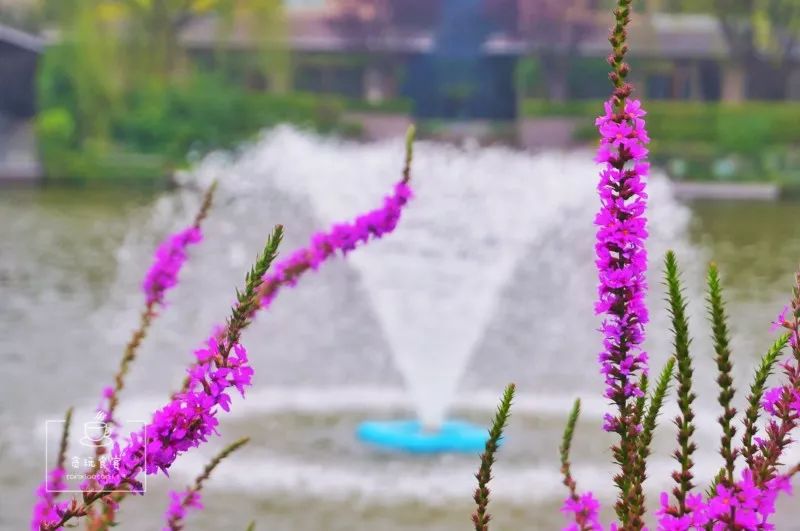 北京春晖园,北京春晖园随园