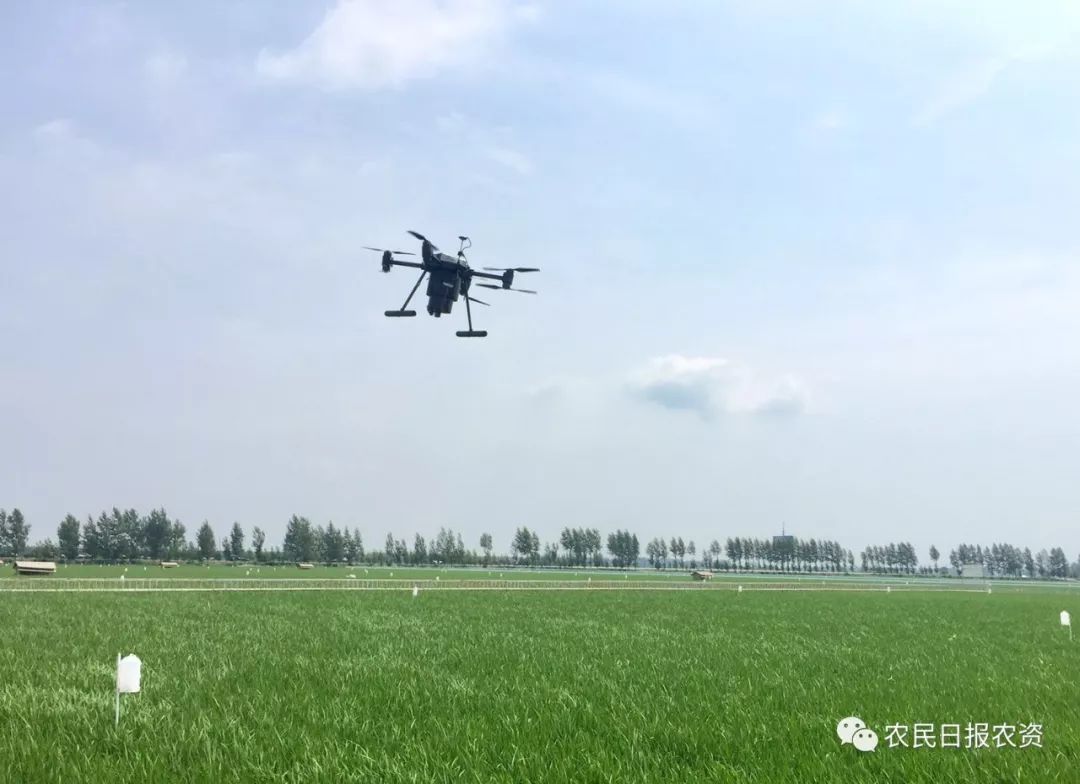 赤眼蜂防治螟虫,赤眼蜂的防治技术