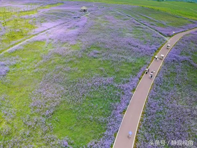 黔西南州游玩攻略,黔西南附近游玩的地方有哪些