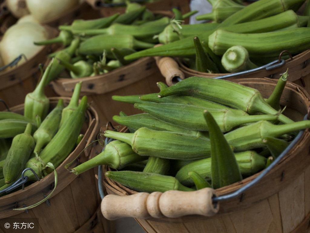 秋葵的储存方法8种最佳吃法,秋葵怎么储存保鲜最好吃