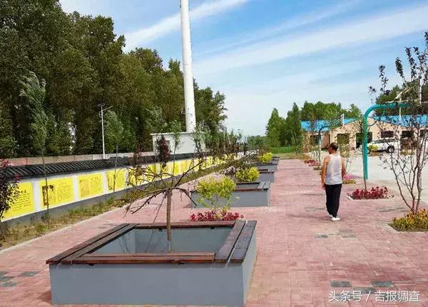 乾安县安字镇高标准农田,乾安县安字镇