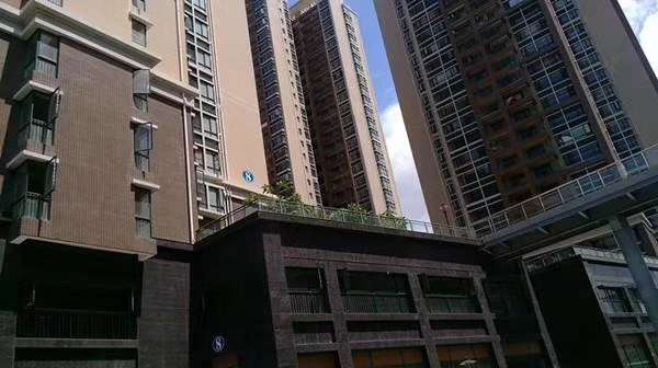 沙井新城,张哥哥真诚为您推荐