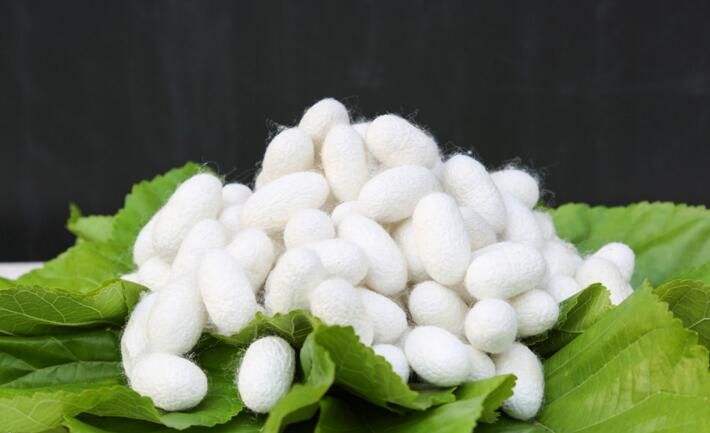 涤纶锦纶醋酯纤维区别,面料中的醋酯纤维是什么