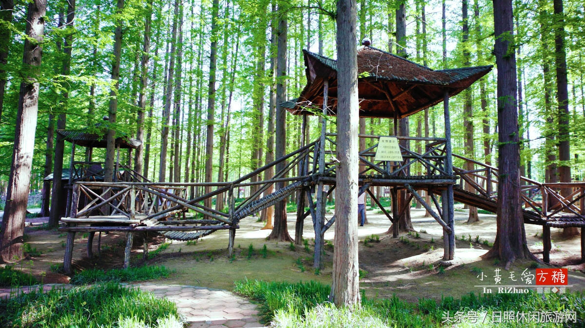 日照浴场海鲜攻略,日照海滨浴场旅游攻略