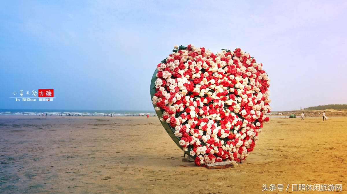 日照浴场海鲜攻略,日照海滨浴场旅游攻略