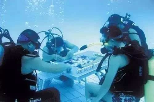 脑洞大开的降温,脑洞大开降温