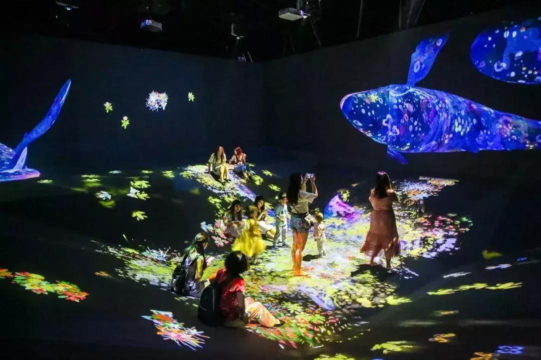 武汉下雨推荐去的地方,武汉室内凉快玩的地方