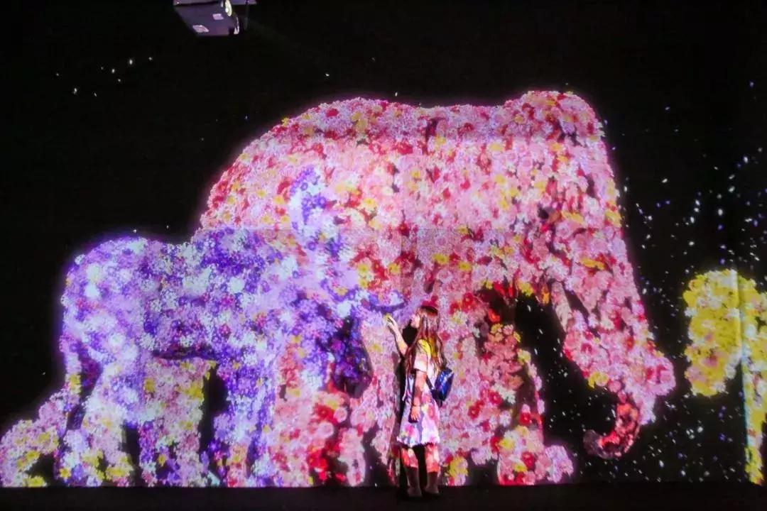 武汉下雨推荐去的地方,武汉室内凉快玩的地方