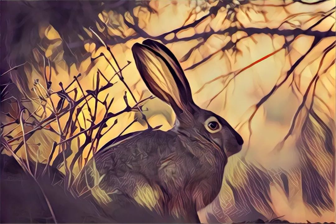 野兔计划放逐者名单公布|那么多人里,我们找到了你!