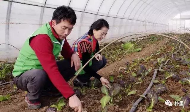 这个韩国欧巴11年前来西安，盖农场当农夫，还娶主播做媳妇儿